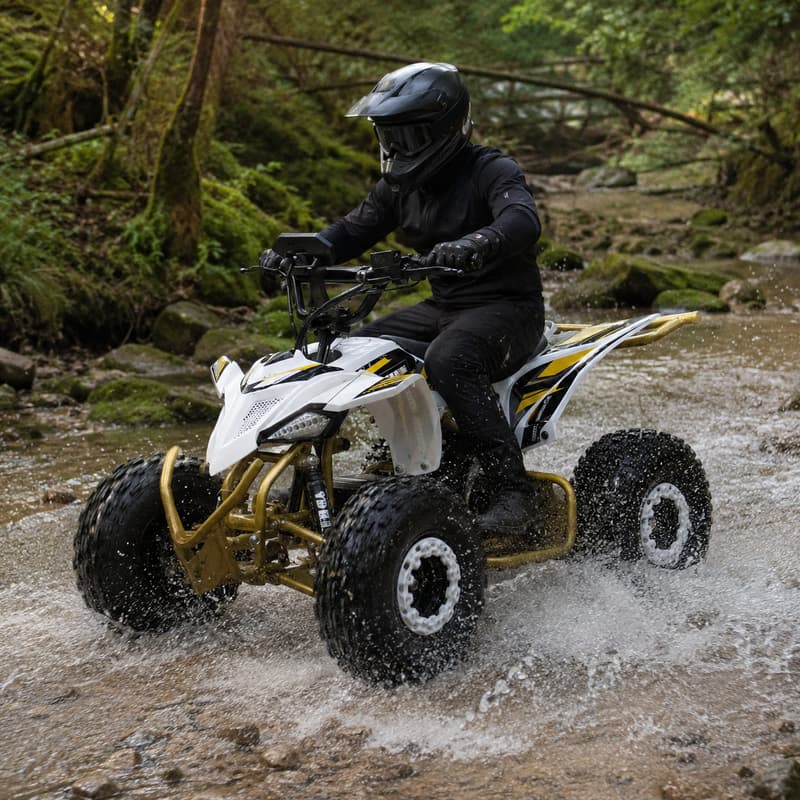 Outdoor Adventure Vehicles - 大人用デューンバギー カスタム四輪ATVスポーツクワッドバイク オフロード全地形対応車 アウトドアアドベンチャー